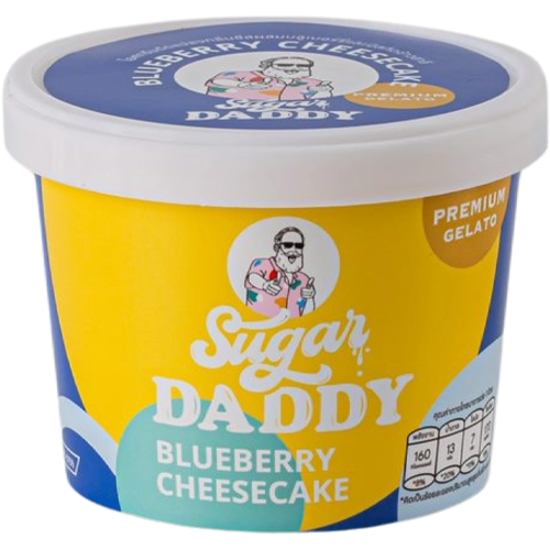 blueberry-cheesecake